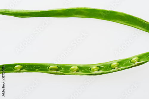 common bean,Green beans,さやいんげん