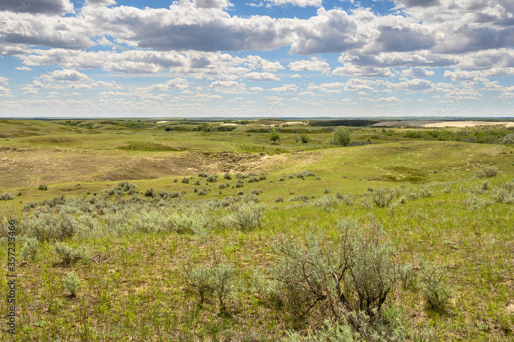Landscape of the Great Sandhills near the town of Leader, Saskatchewan, Canada Landscape of the Great Sandhills near the town of Leader, Saskatchewan, Canada