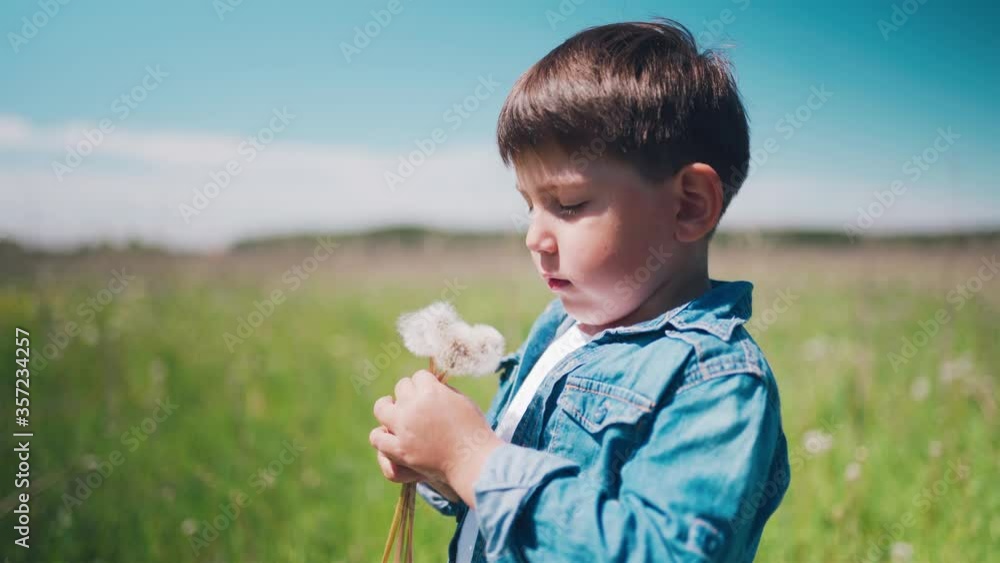 Funny boy with dandelion flower in summer. Boy blowing on dandelions. Happy kid having fun outdoors. Happy childhood. Funny boy with dandelion flower in summer. Boy blowing on dandelions. Happy kid having fun outdoors. Happy childhood.