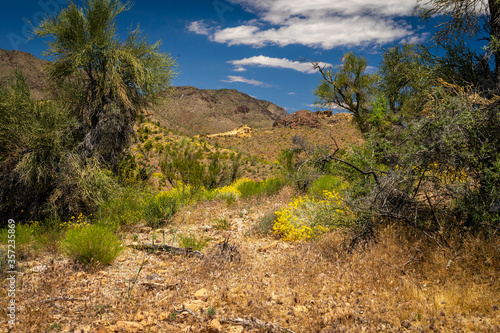 This is a view of the mountains, clouds, wildflowers, and the beautiful desert of the Burro Creek Wilderness area in Arizona.