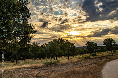 Atardecer