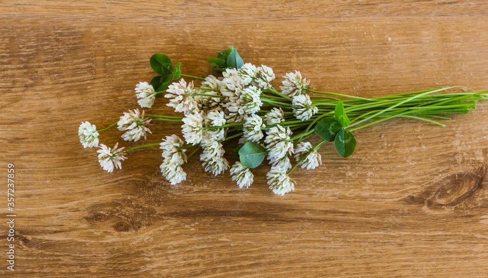 Obraz premium A simple white clover (Trifolium repens) bouquet on a wooden imitation laminate table