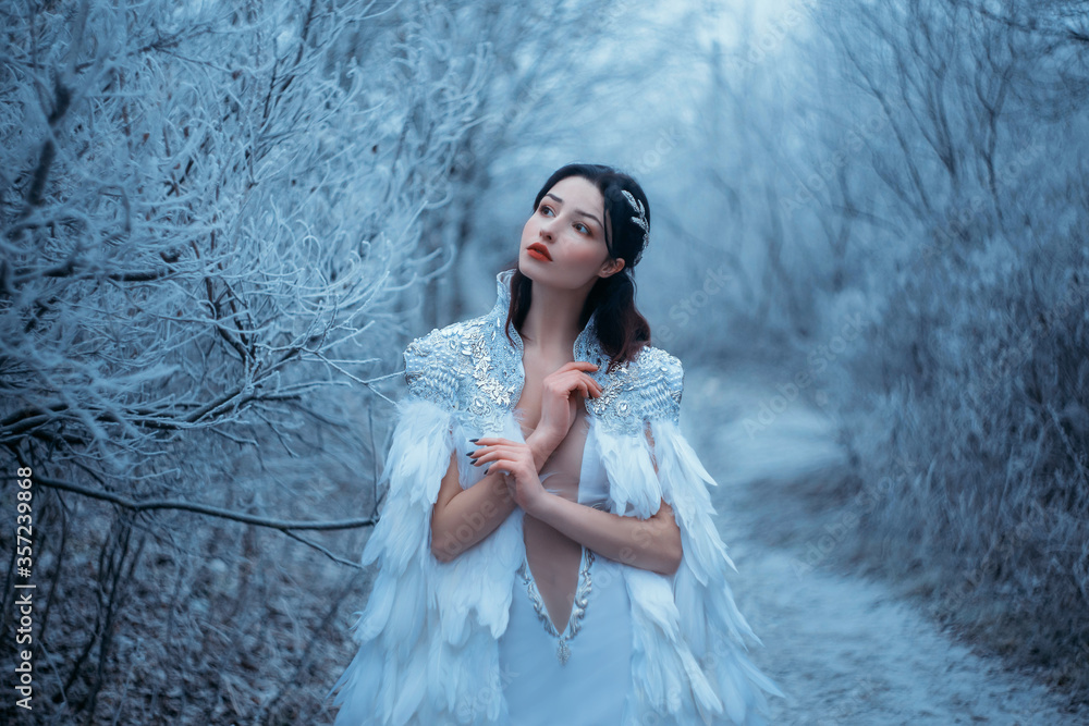 Young woman snow queen. Fantasy cape, white feathers. Creative clothes sexy  dress. Fashion model beautiful face. Elven cloak, princess in winter  forest, trees in hoarfrost, snow. Silver Tiara Circlet Stock Photo