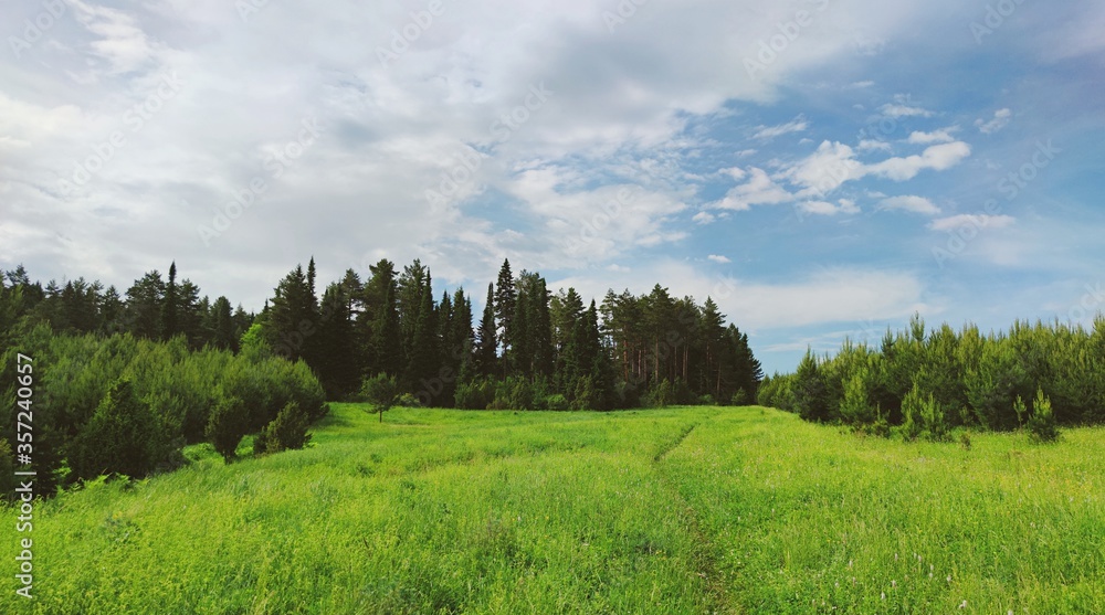 Obraz premium path leading to the forest through a clearing with green grass against a wonderful blue sky with clouds in a beautiful panoramic landscape