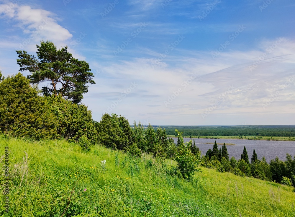 beautiful sunny landscape on a green mountainside with trees on a background of a river and blue sky with clouds