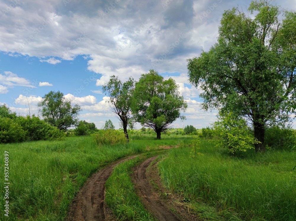 country road in a field among trees and tall green grass against a blue sky with stormy and gloomy clouds country road in a field among trees and tall green grass against a blue sky with stormy and gloomy clouds