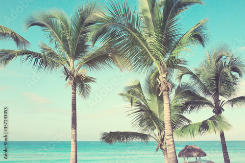 Caribbean sea and palm trees.
