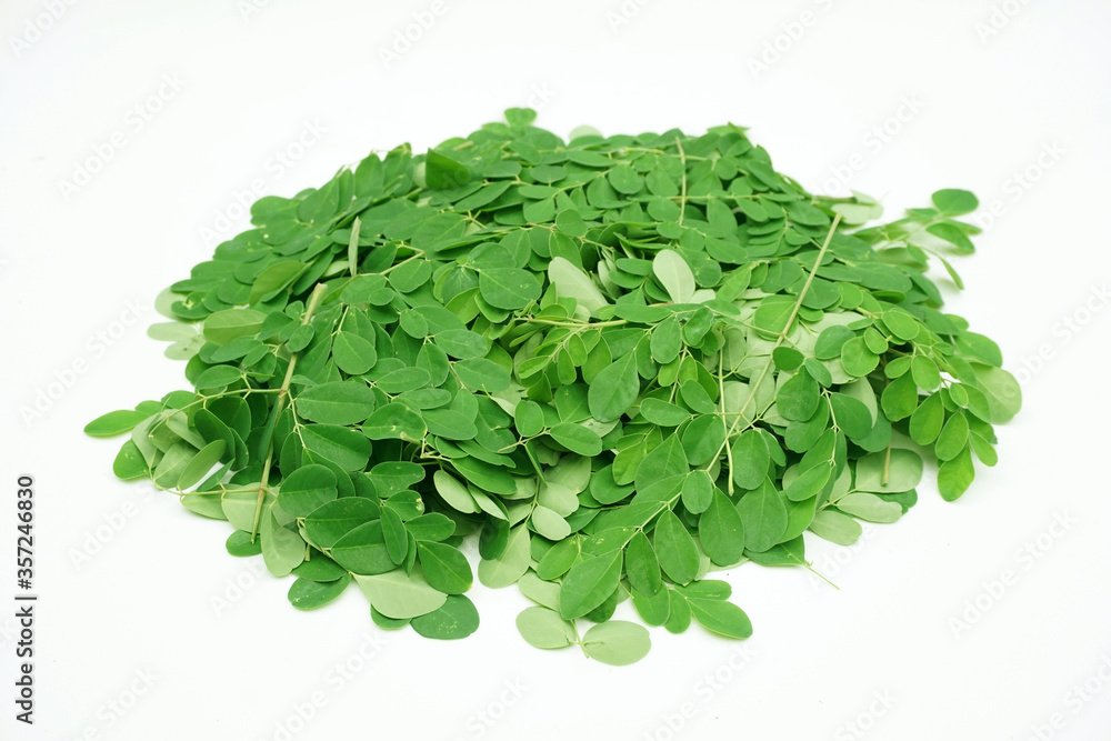 Moringa leaf isolated on white, super food for health. Moringa leaf isolated on white, super food for health.