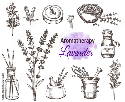 Vintage hand drawn lavender flowers