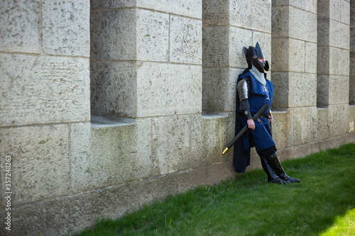 Blue Guard   Blue Knight photoshoot by castle. Inspired by the seige of gondor from lord of the rings