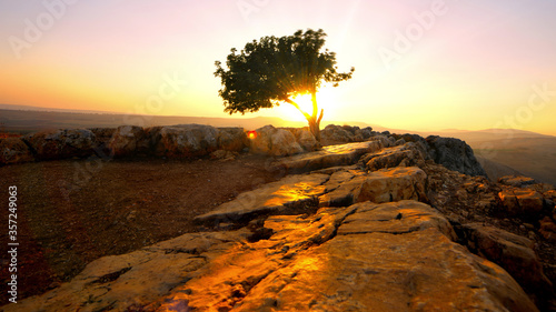 Valokuva Sun slihouetting single tree from Mount Arbel Israel near the Sea of Galilee