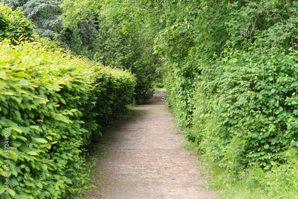 Empty uninhabited paths in a green park in summer. Empty uninhabited paths in a green park in summer.