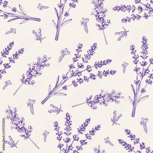 Vintage seamless pattern with lavender flowers.