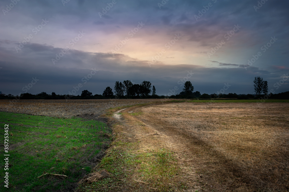 A dirt road through fields and evening clouds