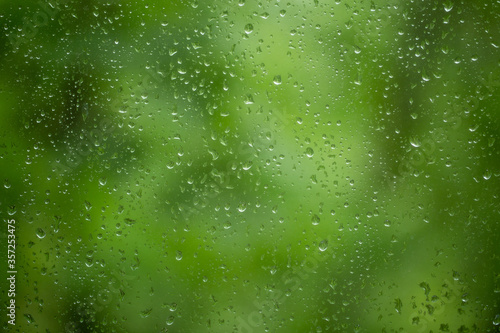 Rain background with rain drops on glass and juicy green plants on background.Close up.