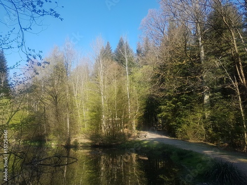 Nature Switzerland