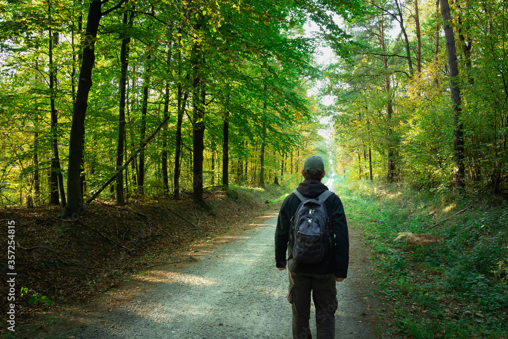 A man with a backpack walking down a forest road