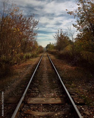 tory kolejowe przez las jesienią