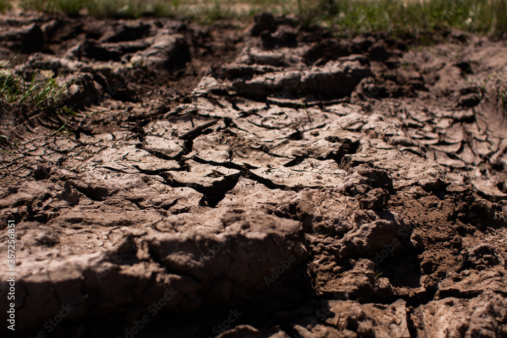 dried and cracked earth in the heat dried and cracked earth in the heat