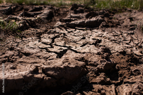dried and cracked earth in the heat