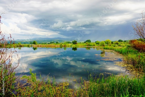 summer landscape with lake and grass © Biljana Nik