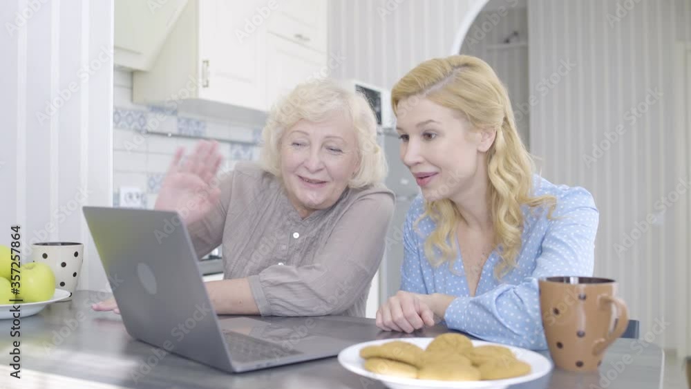 Happy senior female and daughter talking to family members by laptop application Happy senior female and daughter talking to family members by laptop application