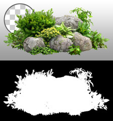 Cutout rock surrounded by flowers.
Garden design isolated on transparent background via an alpha channel. Flowering shrub and green plants for landscaping. Decorative shrub and flower bed.