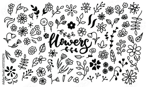 Big vector set of doodle flowers. A bunch of flowers. Branches, petals, flowering plants, and others. Black and white hand-drawn. A sketch of bouquets, romantic leaves. Isolated on white background.