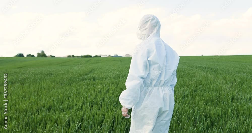 Rear of Caucasian male farmer ecologist in white protective costumes and goggles walking in green field in summer. Back view on man scientist and biologists strolling the margin with eco harvest. Rear of Caucasian male farmer ecologist in white protective costumes and goggles walking in green field in summer. Back view on man scientist and biologists strolling the margin with eco harvest.