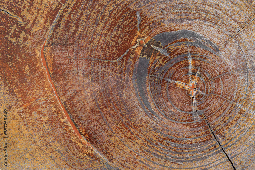 Naklejka premium Close-up surface texture of old wooden furniture with tree year circle for background.