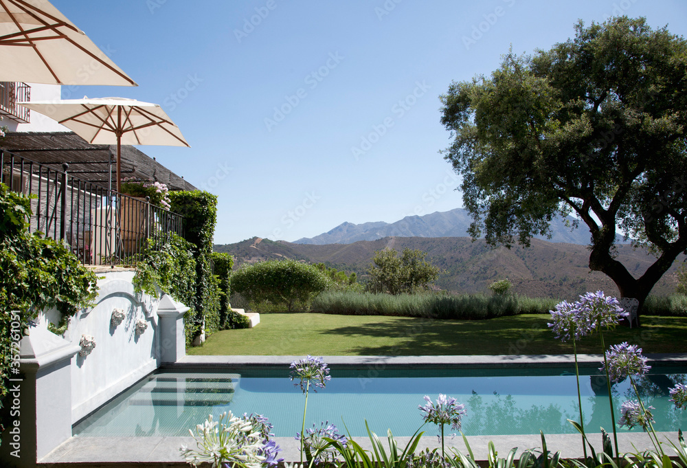 Luxury lap pool with tree and mountains in background - obrazy, fototapety, plakaty 