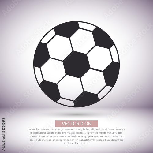 Soccer ball vector icon    lorem ipsum Flat design