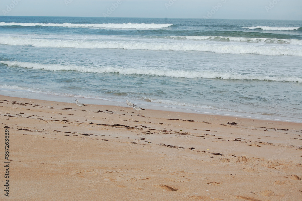 Sandy beach with waves crashing on the shore Sandy beach with waves crashing on the shore