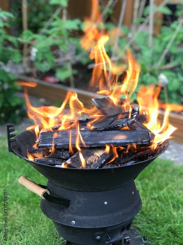 Garden Fire