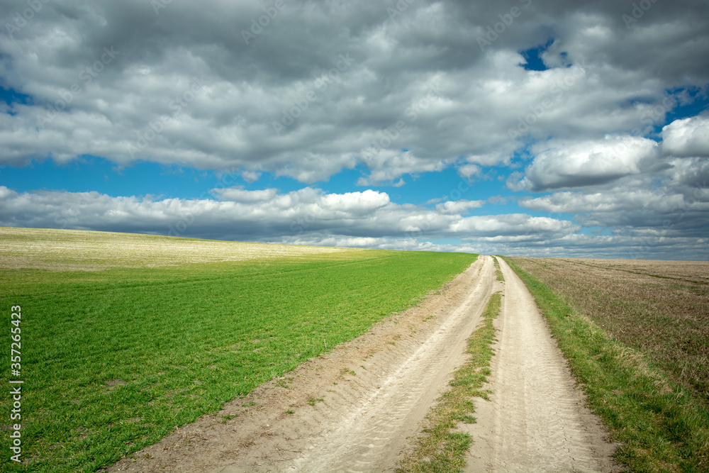 A dirt road through rural fields on the hill and grey clouds on the blue sky
