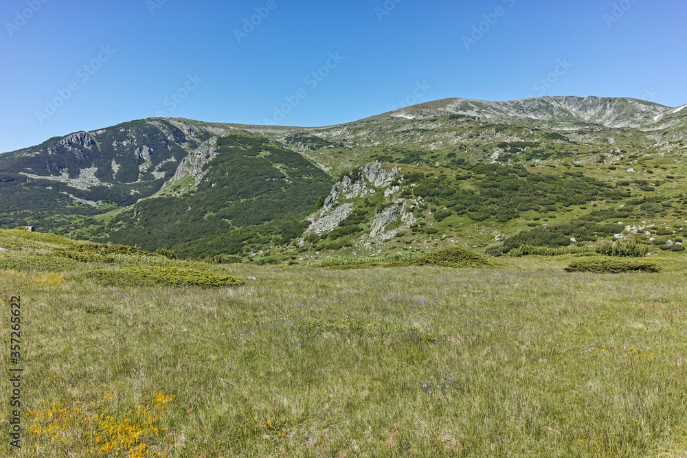 Panorama around Belmeken peak, Rila mountain