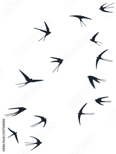Flying swallow birds silhouettes vector illustration. Migratory martlets bevy isolated on white. 