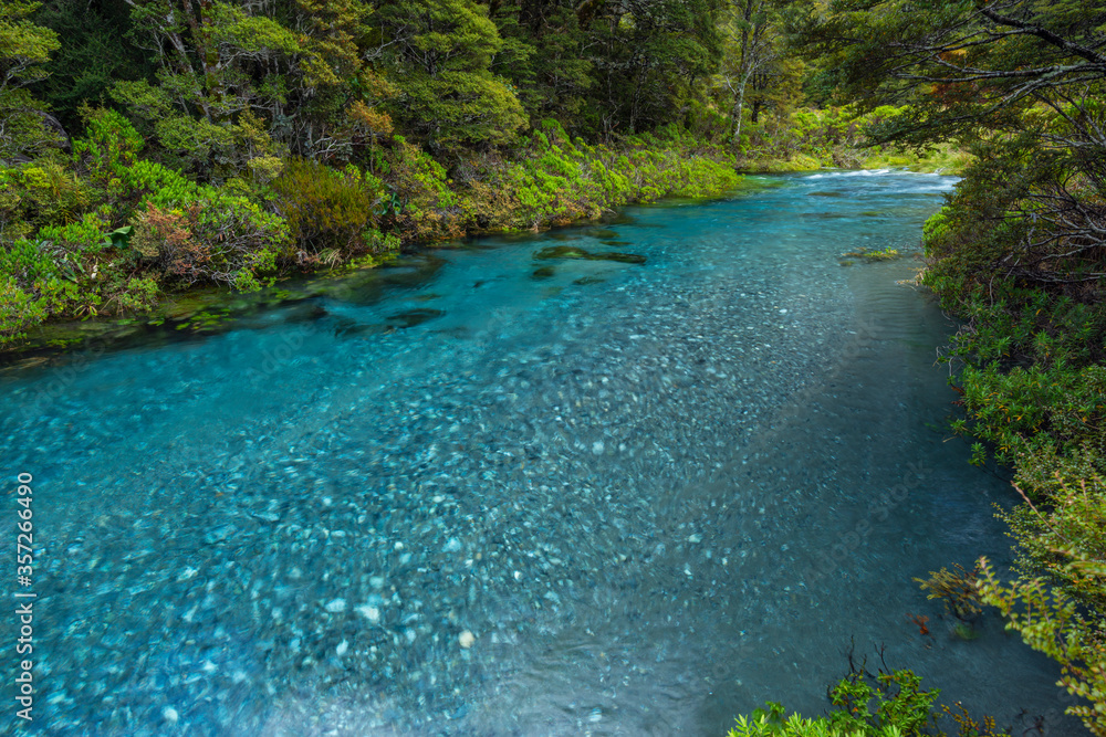 New Zealand, Southland, Te Anau, Hollyford River flowing through lush forest New Zealand, Southland, Te Anau, Hollyford River flowing through lush forest