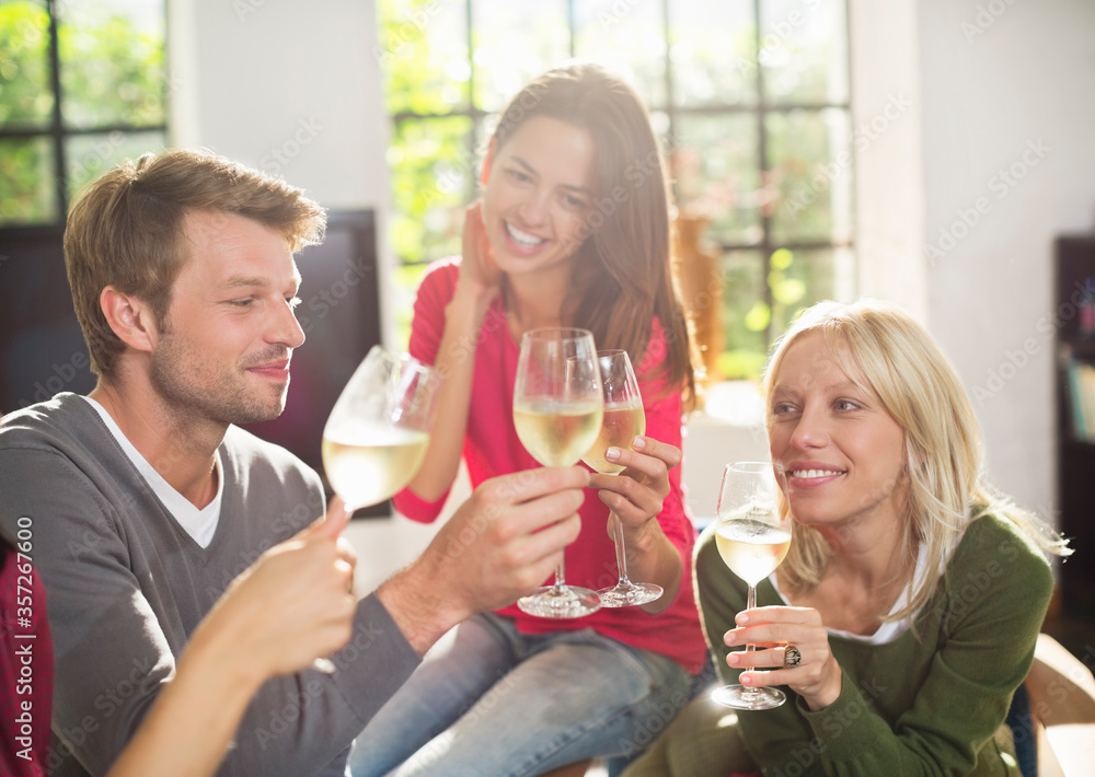 Friends toasting each other with wine Friends toasting each other with wine