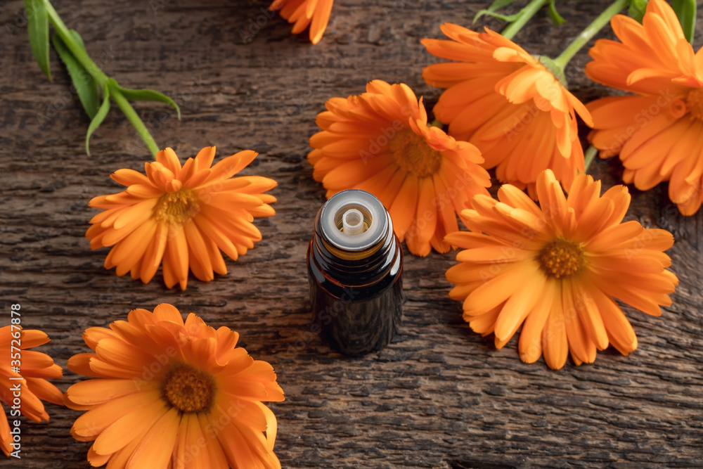 A bottle of calendula essential oil with calendula flowers A bottle of calendula essential oil with calendula flowers