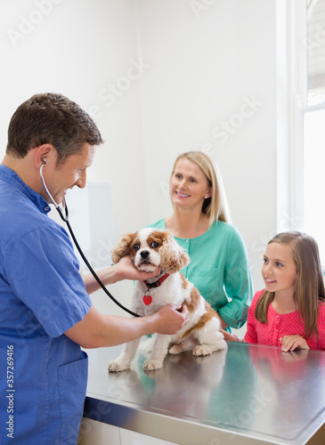 Veterinarian and owners examining dog in vet's surgery