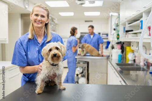 Foto Veterinarian smiling with dog in vet's surgery