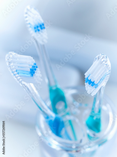 Close up of toothbrushes in holder