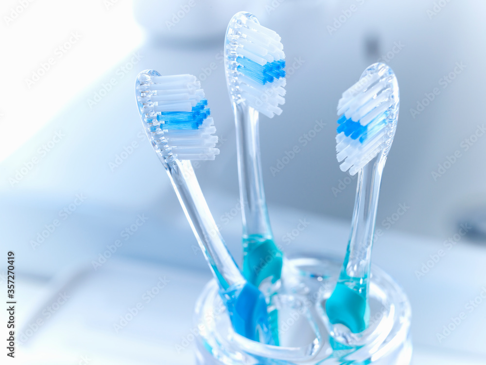 Close up of toothbrushes in holder Close up of toothbrushes in holder