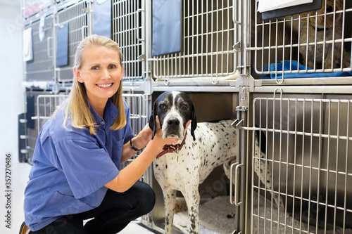 Vet placing dog in kennel photo