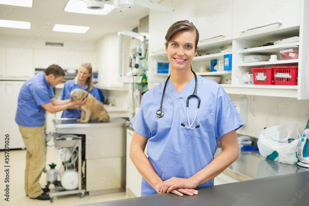 Smiling veterinarian standing in vet’s surgery Smiling veterinarian standing in vet’s surgery
