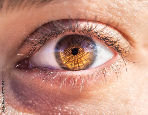 macro photography of a female eye. Human eye texture. eye pupil. Human eyelashes. Brown eye close-up. Eye background.
