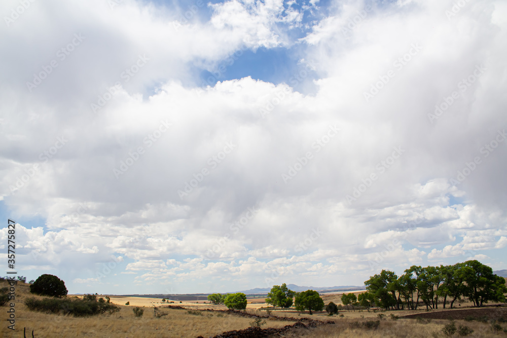 Cielo azul con muchas nubes blancas de Chihuahua contrapicada