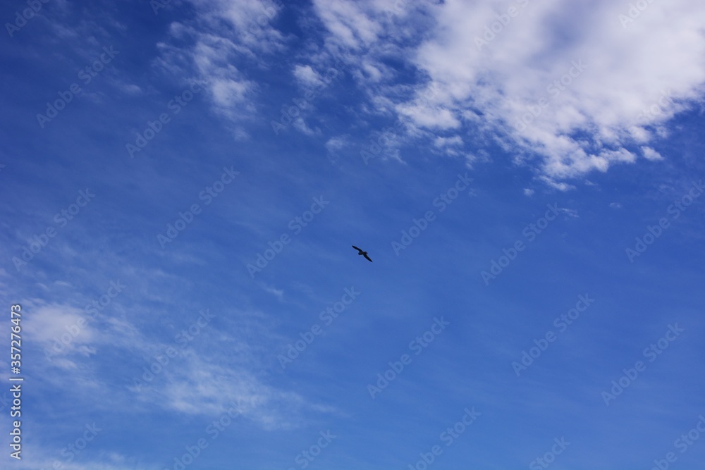Background material / Blue sea, blue sky and white clouds. Background material / Blue sea, blue sky and white clouds.