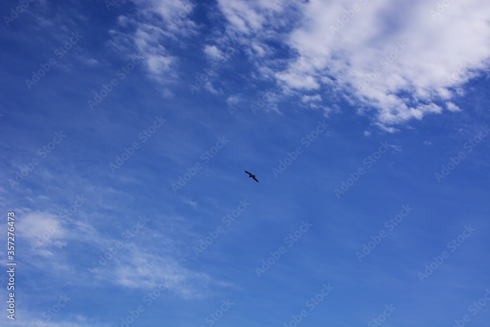 Background material / Blue sea, blue sky and white clouds.